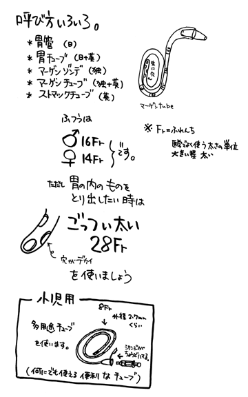 洗浄 方法 胃